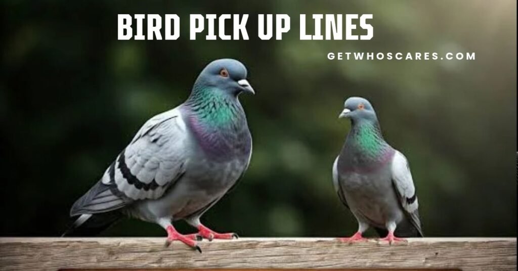Bird Pick Up Lines