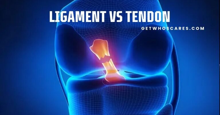 Ligament vs Tendon